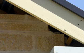 soffit repair Walsoken
